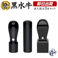 ＼期間限定ポイント5倍／ 法人印鑑 会社印 印鑑 はんこ 判子 法人印鑑セット 3本 社判 実印 代表者印 銀…