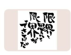 yő1000~OFFN[|szTr[ CXgX^v X^vL SFM-L05