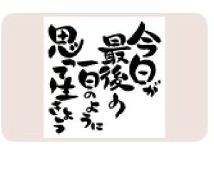 yő1000~OFFN[|szTr[ CXgX^v X^vL SFM-L12