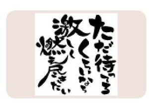 yő1000~OFFN[|szTr[ CXgX^v X^vL SFM-L22