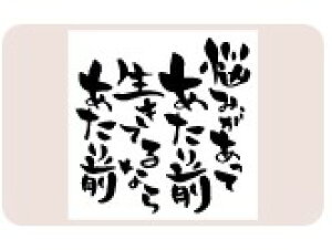 yő1000~OFFN[|szTr[ CXgX^v X^vL SFM-L34