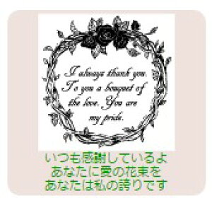 yő1000~OFFN[|szTr[ CXgX^v CXgX^vLL SFM-LL08