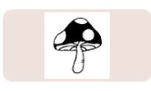 yő1000~OFFN[|szTr[ CXgX^v CXgX^vM SFM-M27