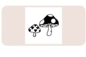 yő1000~OFFN[|szTr[ CXgX^v CXgX^vM SFM-M39