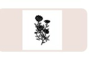 yő1000~OFFN[|szTr[ CXgX^v CXgX^vM SFM-M51