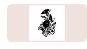 yő1000~OFFN[|szTr[ CXgX^v CXgX^vM SFM-M52