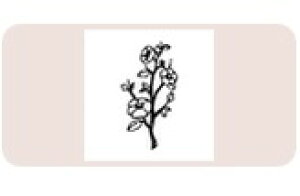 yő1000~OFFN[|szTr[ CXgX^v CXgX^vM SFM-M53