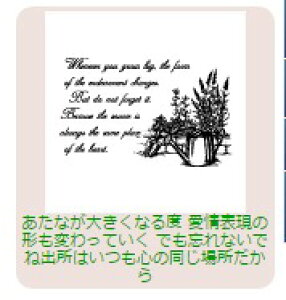 yő1000~OFFN[|szTr[ CXgX^v CXgX^vRLL SFM-RLL12