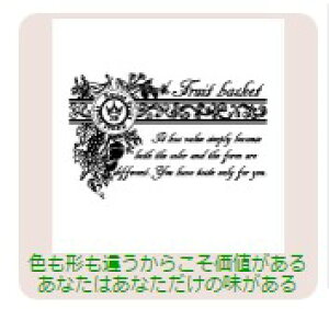 yő1000~OFFN[|szTr[ CXgX^v CXgX^vRLL SFM-RLL13