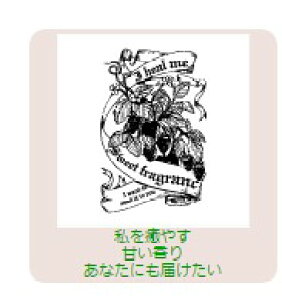 yő1000~OFFN[|szTr[ CXgX^v CXgX^vRLL SFM-RLL25