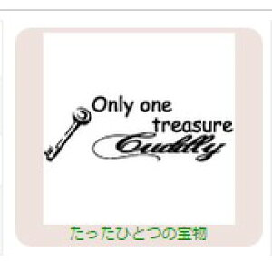 yő1000~OFFN[|szTr[ CXgX^v CXgX^vRSM SFM-RSM02