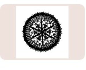 yő1000~OFFN[|szTr[ CXgX^v CXgX^vSM SFM-SM10