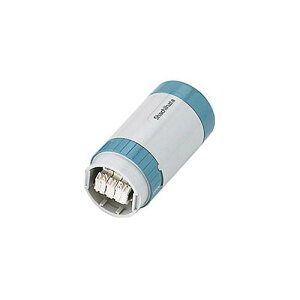 【最大1000円OFFクーポン発行中】shachihata シャチハタ データーネーム 30号 キャップ式・スタンド式用 日付S 本体のみ スタンプ はんこ 3980円以上 送料無料