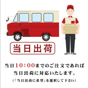 ySi|Cg10{Iz @l3{ӃP[XZbg \҈18mmEs18mmEp21mmEZp[gZ @l Ј  ͂ \ s p pP[Xt  @