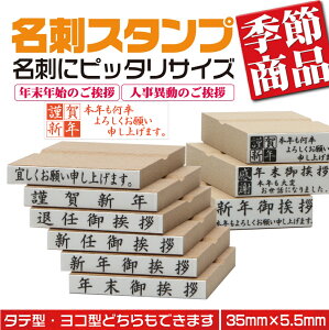 y11/1͑Si|Cg10{zyމVN@{N낵肢\グ܂z^S@hpAS@35mm×10.5mm@^@c^@މVN@VNA@2s^Cv @11