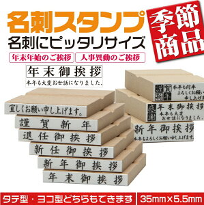 y11/1͑Si|Cg10{zyN䈥A {NςbɂȂ܂z^S hpAS 35mm×10.5mm ^ c^ 2s^Cv  17