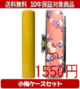 y[֑z͂񂱁EӁEq/nR F{я~(sN)Zbg 12.0mm×60mmylӁzysmtb-KDz