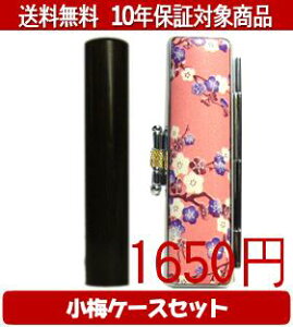 y[֑z͂񂱁EӁEq/nR h~(sN)Zbg 12.0mm×60mmylӁzysmtb-KDz