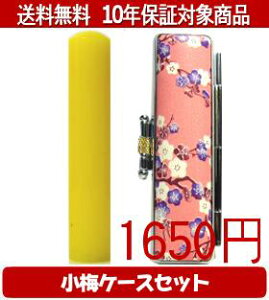 y[֑z͂񂱁EӁEq/nR Jt() ~(sN)Zbg 12.0mm×60mmylӁzysmtb-KDz