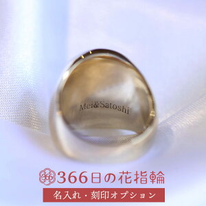 yő300~OFFN[|P2{zu366̉ԎwցviVOl`[OjEIvV