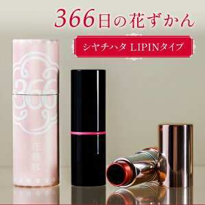 yő300~OFFN[|P2{zu366̉ԂvLIPIN^CviZj[[]