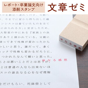 yő300~OFFN[|P2{ziZ^Cvj|[gEƘ_YX^vu̓[~viINKY STAMPj