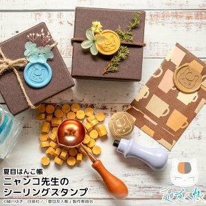 yȃN[|sSizuĖڂ͂񂱒 jR搶̃V[OX^vZbgv