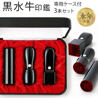 【50円OFFクーポン配布中】【即日発送 送料無料】 法人印鑑 黒水牛印鑑3本Aセット 専用ケース付（角21）…