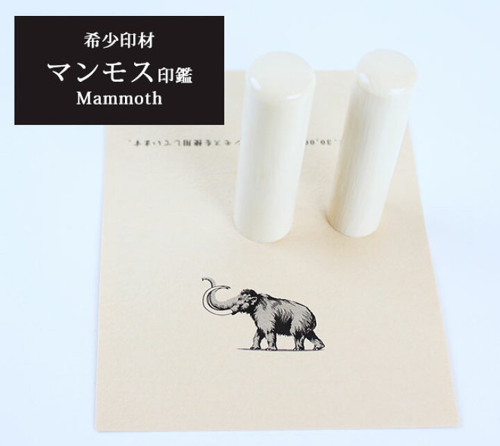 楽天市場】【10％OFFクーポン配布中】 印鑑 はんこ マンモス印鑑【13.5 