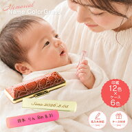 【50円OFFクーポン配布中】印鑑 はんこ 子供 銀行印 名入れ カラーグラス クロコ風ケース付 12.0mm 認印 …
