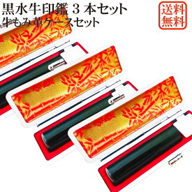 印鑑 3本 セット 実印 銀行印 認印 黒水牛 個人用印鑑 実印・銀行印・認印セット 牛もみ革ケース付き 牛角 はんこ ケース付セット アタリ 印鑑ケース 朱肉付き ギフト 10年保証 送料無料 印鑑証明 通帳登録 就職祝い
