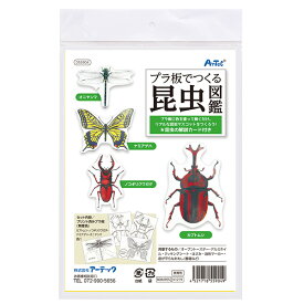 楽天市場 自由研究 小学生 キット 虫の通販 楽天市場 自由研究 小学生 キット 虫の通販