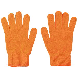 A[ebN J[̂т̂ю  uIW [artec wZ wZpi w _X ^ ̈ Cxg]