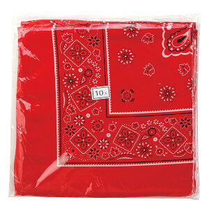 �A�[�e�b�N �o���_�i �� 10���g [artec �w�Z���� �w�Z�p�i ���w�� �c�� �_���X �^���� �̈�� �C�x���g]