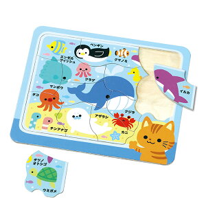 A[ebN ؐpY  [artec wZ wZpi mߋ m狳 q  ߋ]