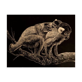 楽天市場 スクラッチボードの通販