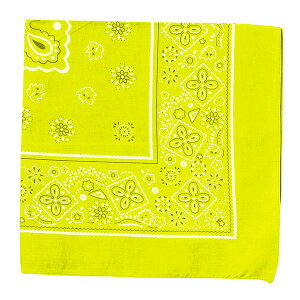 �A�[�e�b�N �o���_�i �u���C�G���[ [artec �w�Z���� �w�Z�p�i ��| �H�� ���w�� �c�� �_���X �^���� �̈�� �C�x���g]