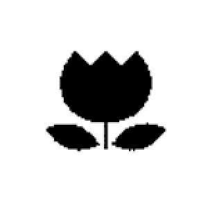 `FbNS 6×6mmy`[bvz [X^v ͂ q ^ CXg S |Cg ~jX^v  w nR 킢 ]y[֔zΉiz