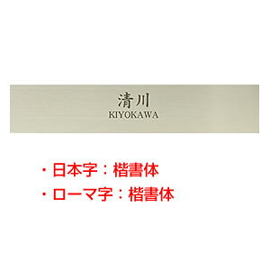 \D XeX HSW-005 Vv[hV[YinRhbgRIWi\DjTCYF200mmX40mmX1mm [\D Ђ傤 l[v[g XeX\D ˌ }V 