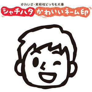 V`n^ X}CX^v 킢 l[9 Ί̒jyj04zNo.013iCXĝ݁j ʃTCYFa9.5mm [ ͂ nR  q V`n^ Ⴟ͂ Shachihata CXg 