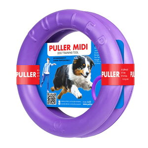yPULLERz v[ vȂ̂ŁAVׂ܂B vȂ v[ O@ւ̂ 2Zbg h[ic ̂@̗ւ h[ibc^̃hbOg[jOߋ g[