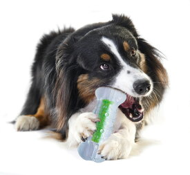 Petstages ペットステージ クランチコア ボーン スモール ミディアム ラージ ジャイアント 犬 おもちゃ ボーン ハーツ ペット 玩具 歯磨き デンタルケア 歯みがき 骨 型 デンタルトイ トイ ソフト タイプ 大型犬 解消
