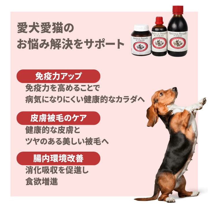 楽天市場】アニマストラス 顆粒 100g 動物用サプリメント 翌日出荷 