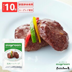 【eugreen】 ユーグリーン 馬肉ハンバーグ 70g 翌日出荷 ［ハロードッグ公式］ 獣医師会推奨 ユーグレナ配合 ドッグフード ウェットフード 国産 レトルト 日本製 水分補給 栄養 トッピング 無添加