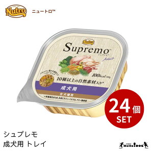 yVvz p gC 24 EFbgt[h j[g o   p hbOt[h  ʋl 炩  h{ gbsO n[hbO }n[hbO