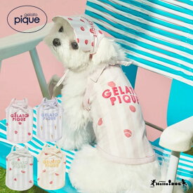 gelato pique 接触冷感 ストライプ柄Coolingプルオーバー【翌日出荷】阪急ハロードッグ ジェラートピケ ジェラピケ ドッグウェア 小型犬 かわいい 夏 冷感 クール