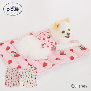 WF[gsP gelato pique ڐG⊴ Minnie/COOLvI[o[ yz}n[hbO WFsP hbOEFA ^ 킢 ItzCg sN  Ђ  ~j[}EX