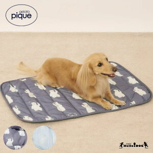 WF[gsP gelato pique ڐG⊴ VN}COOLING}bgyz}n[hbO WFsP hbO}bg }bg hbOxbh xbh 킢 u[ lCr[  Ђ 