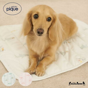 WF[gsP gelato pique ڐG⊴ SHARKCOOLING}bgyz}n[hbO WFsP hbO}bg }bg hbOxbh xbh 킢 u[ sN  Ђ  