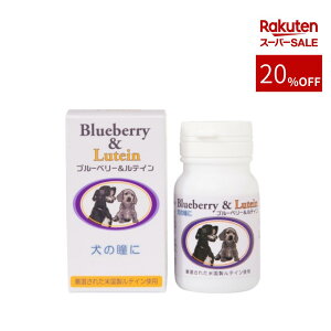 X[p[SALE pTvg u[x[eC 60@ | o ڂ O ͒ቺ RHi VRf   L ˂ h{⏕ ^ ^ ^  VjA V 